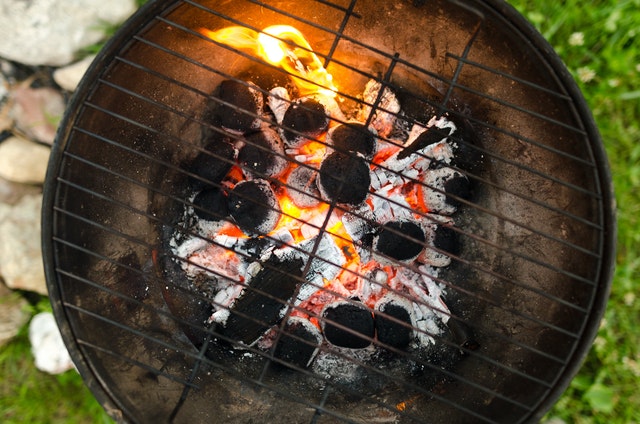 Propane Vs Charcoal Grill: What Should You Choose?
